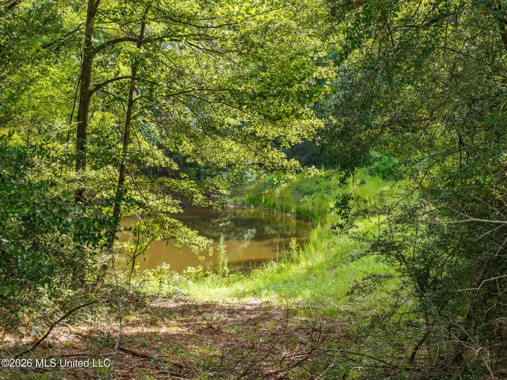 2111 Old Brookhaven Road Summit, MS 39666