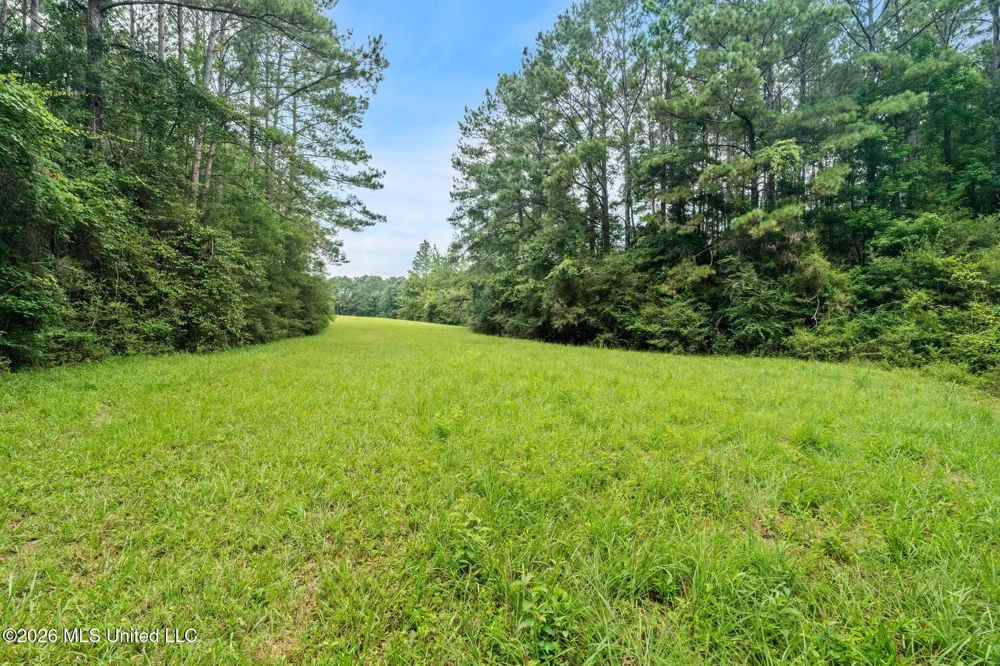 2111 Old Brookhaven Road Summit, MS 39666