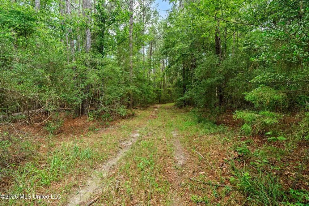 2111 Old Brookhaven Road Summit, MS 39666