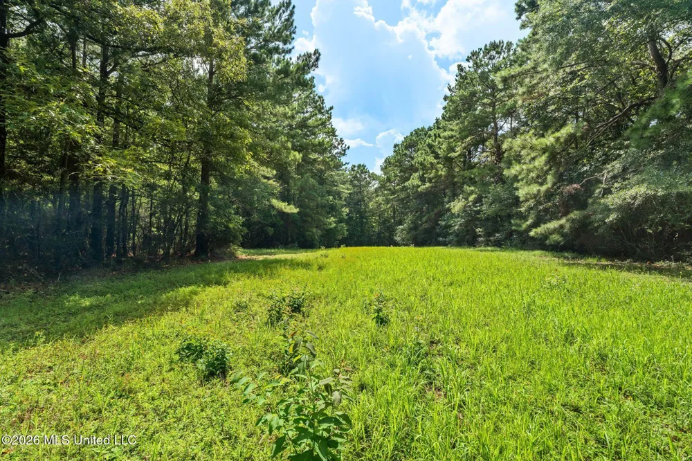2111 Old Brookhaven Road Summit, MS 39666