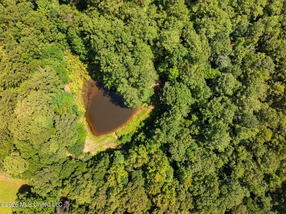 2111 Old Brookhaven Road Summit, MS 39666