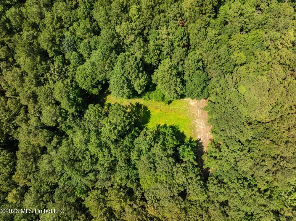 2111 Old Brookhaven Road Summit, MS 39666