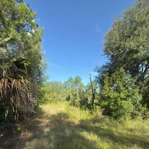 19037 PARAKEET ROAD