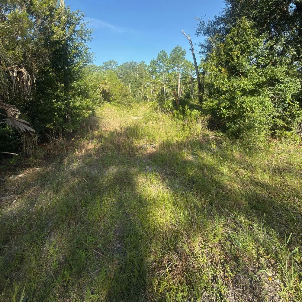 19037 PARAKEET ROAD Brooksville, FL 34614
