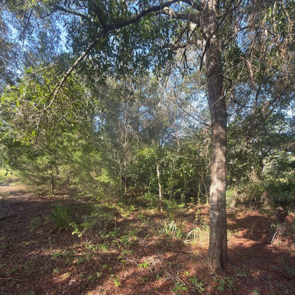 19037 PARAKEET ROAD Brooksville, FL 34614