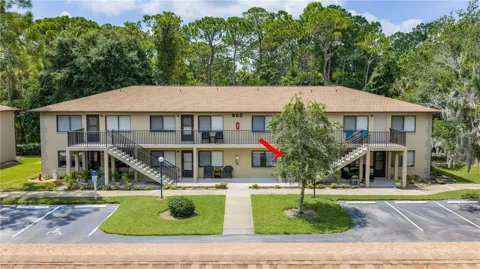 1601 BIG TREE ROAD #803