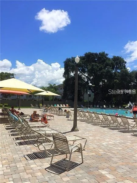 2402 ECUADORIAN WAY #40 Clearwater, FL 33763