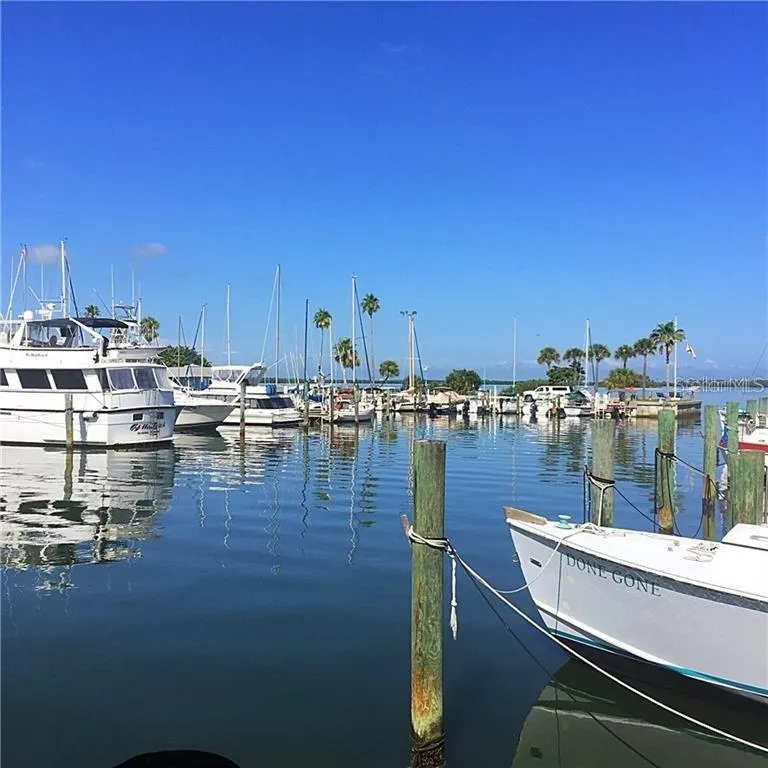 2402 ECUADORIAN WAY #40 Clearwater, FL 33763