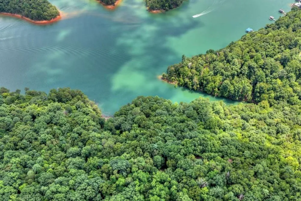 LT 60 Necowa Cove Overlook Blue Ridge, GA 30513