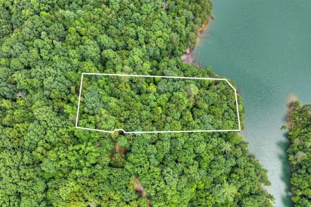 LT 60 Necowa Cove Overlook Blue Ridge, GA 30513