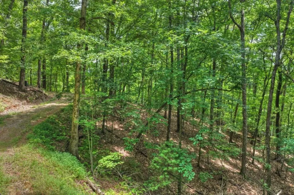 LT 60 Necowa Cove Overlook Blue Ridge, GA 30513