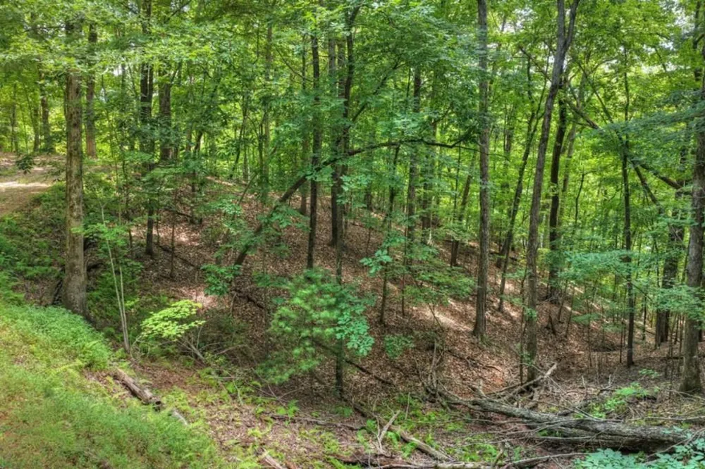 LT 60 Necowa Cove Overlook Blue Ridge, GA 30513