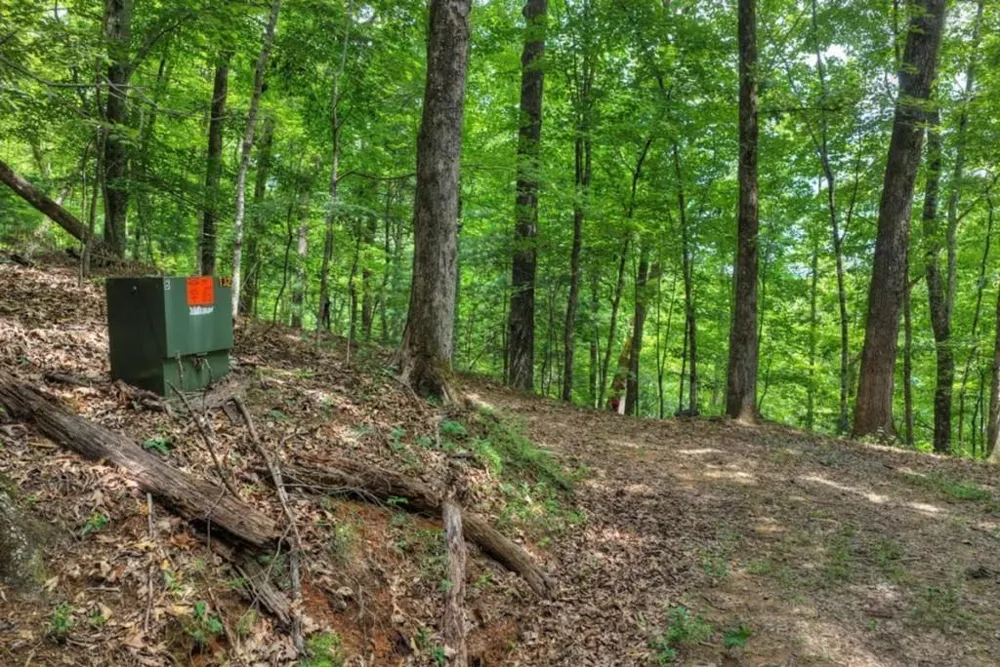 LT 60 Necowa Cove Overlook Blue Ridge, GA 30513