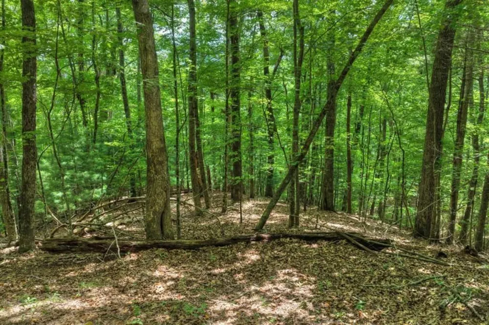 LT 60 Necowa Cove Overlook Blue Ridge, GA 30513