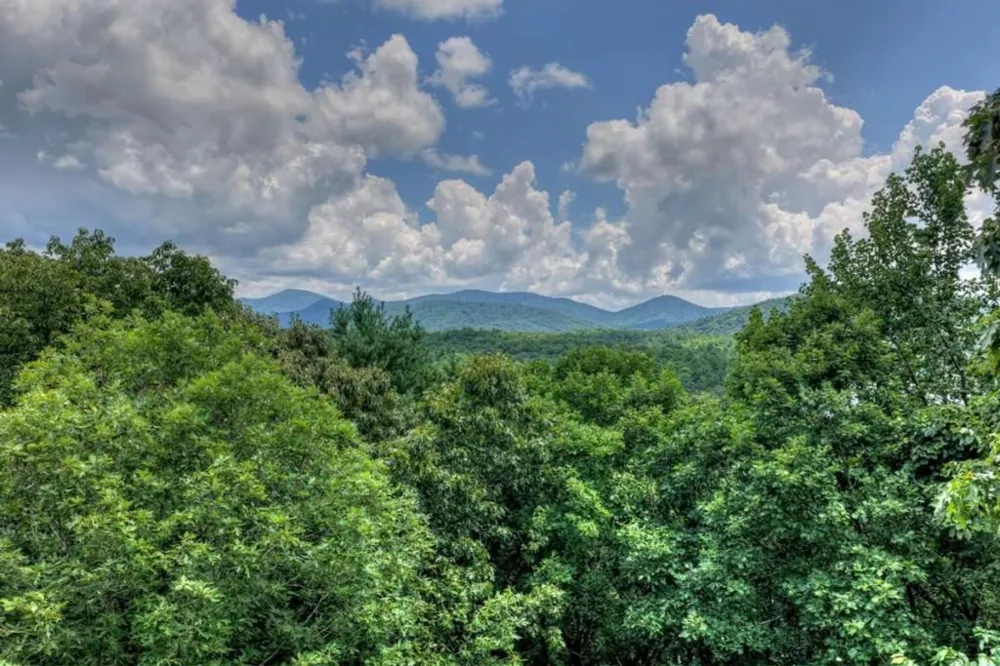 LT 60 Necowa Cove Overlook Blue Ridge, GA 30513