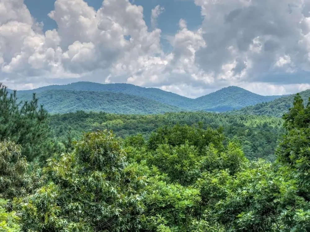 LT 60 Necowa Cove Overlook Blue Ridge, GA 30513