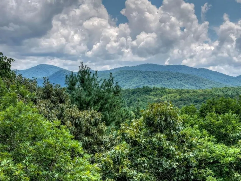 LT 60 Necowa Cove Overlook Blue Ridge, GA 30513