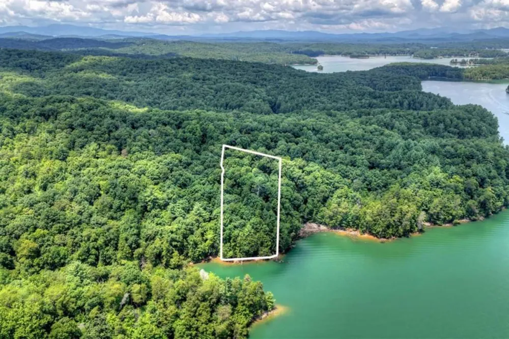 LT 60 Necowa Cove Overlook Blue Ridge, GA 30513