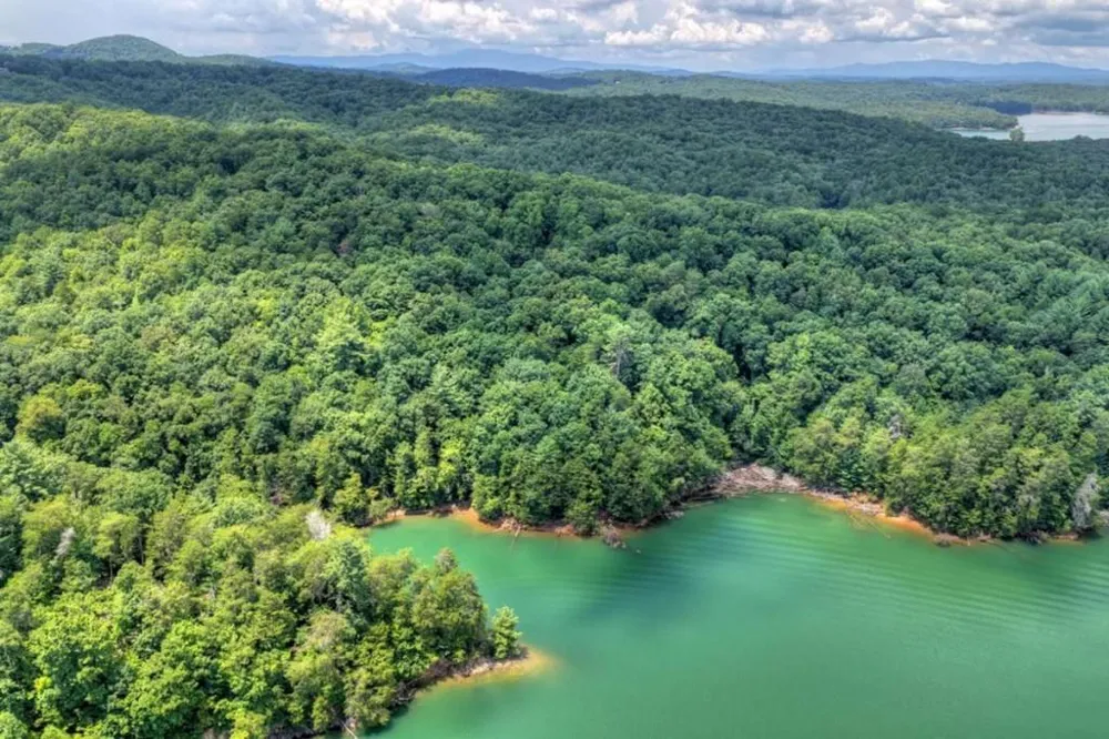 LT 60 Necowa Cove Overlook Blue Ridge, GA 30513