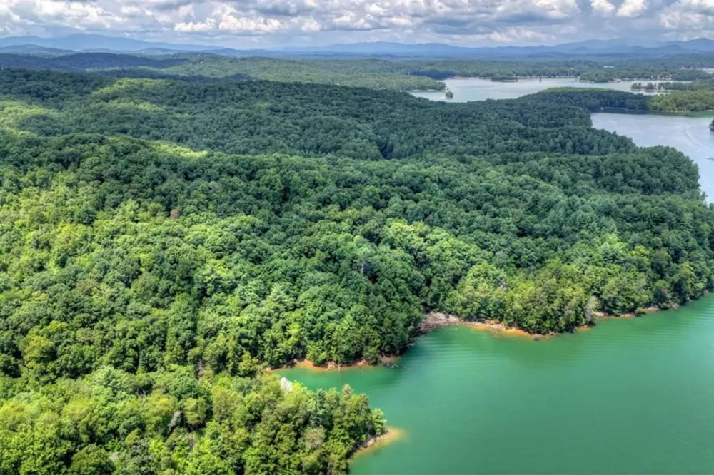 LT 60 Necowa Cove Overlook Blue Ridge, GA 30513