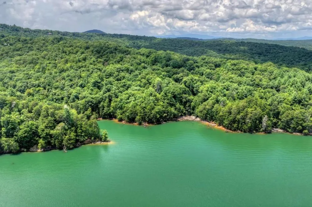 LT 60 Necowa Cove Overlook Blue Ridge, GA 30513