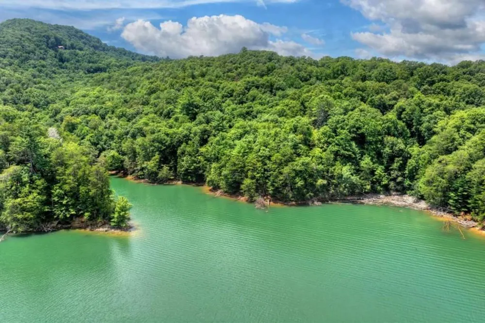 LT 60 Necowa Cove Overlook Blue Ridge, GA 30513