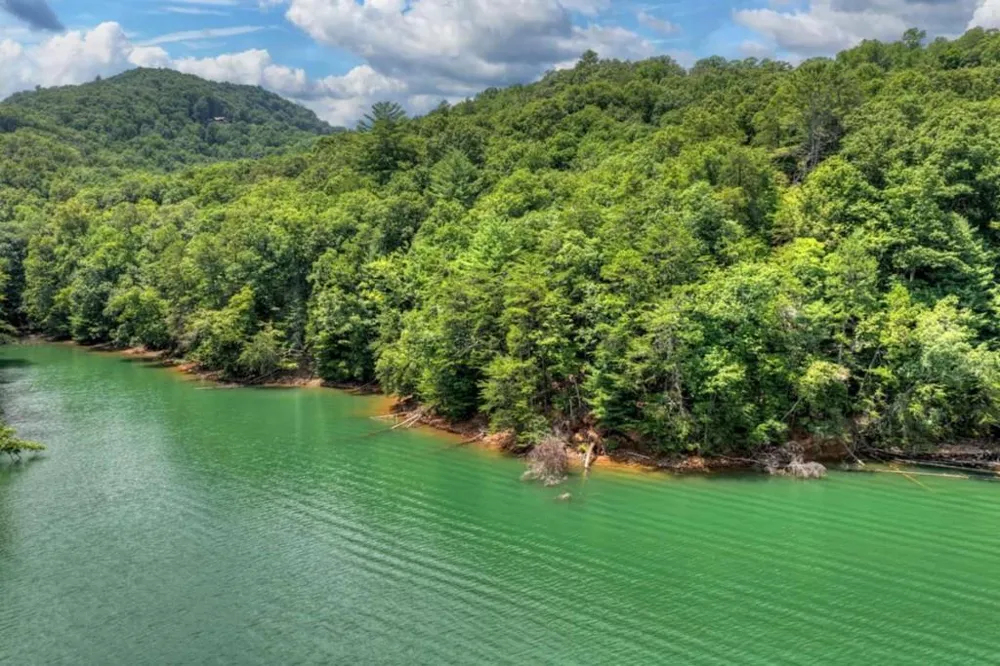 LT 60 Necowa Cove Overlook Blue Ridge, GA 30513