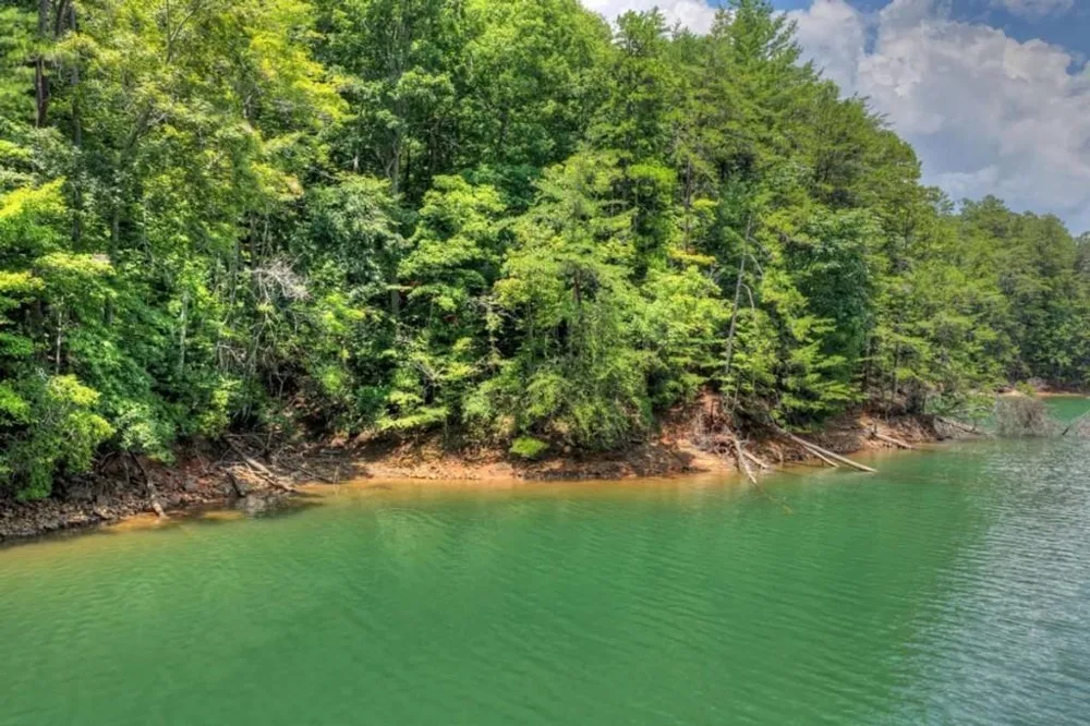 LT 60 Necowa Cove Overlook Blue Ridge, GA 30513