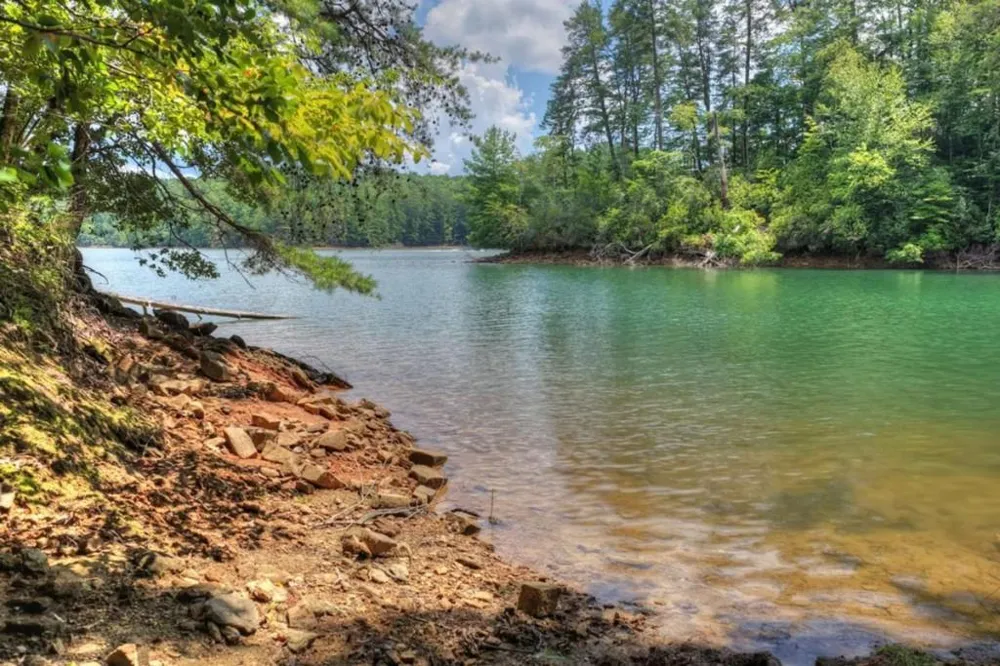 LT 60 Necowa Cove Overlook Blue Ridge, GA 30513