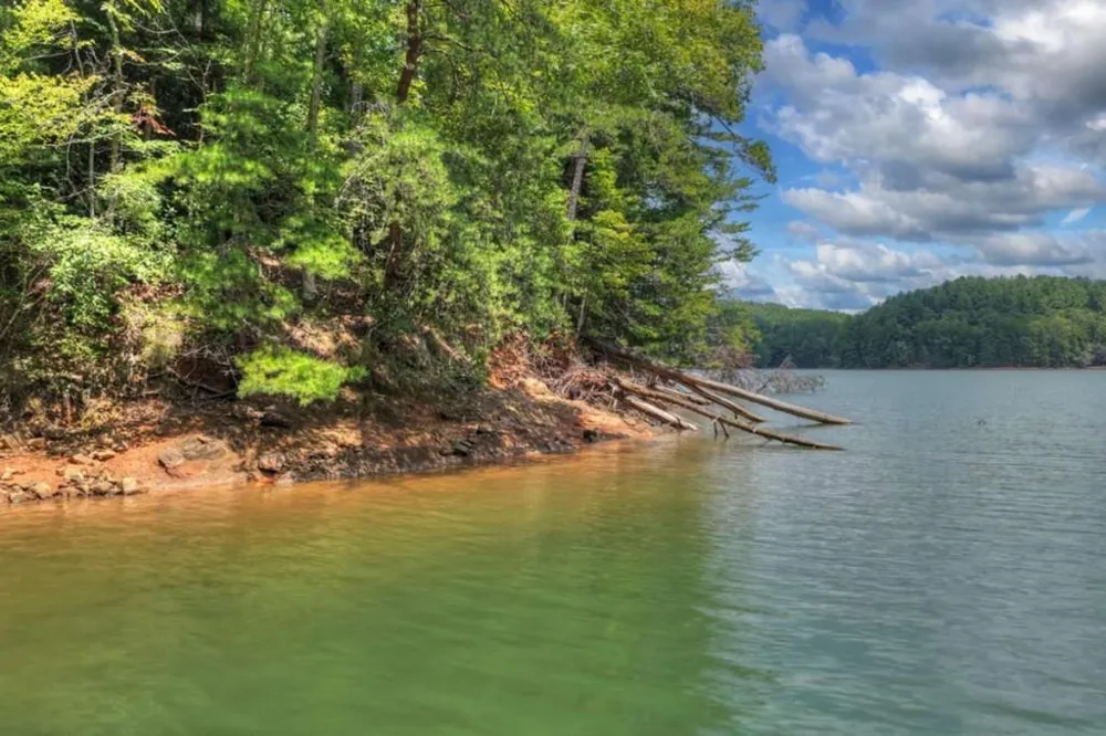 LT 60 Necowa Cove Overlook Blue Ridge, GA 30513