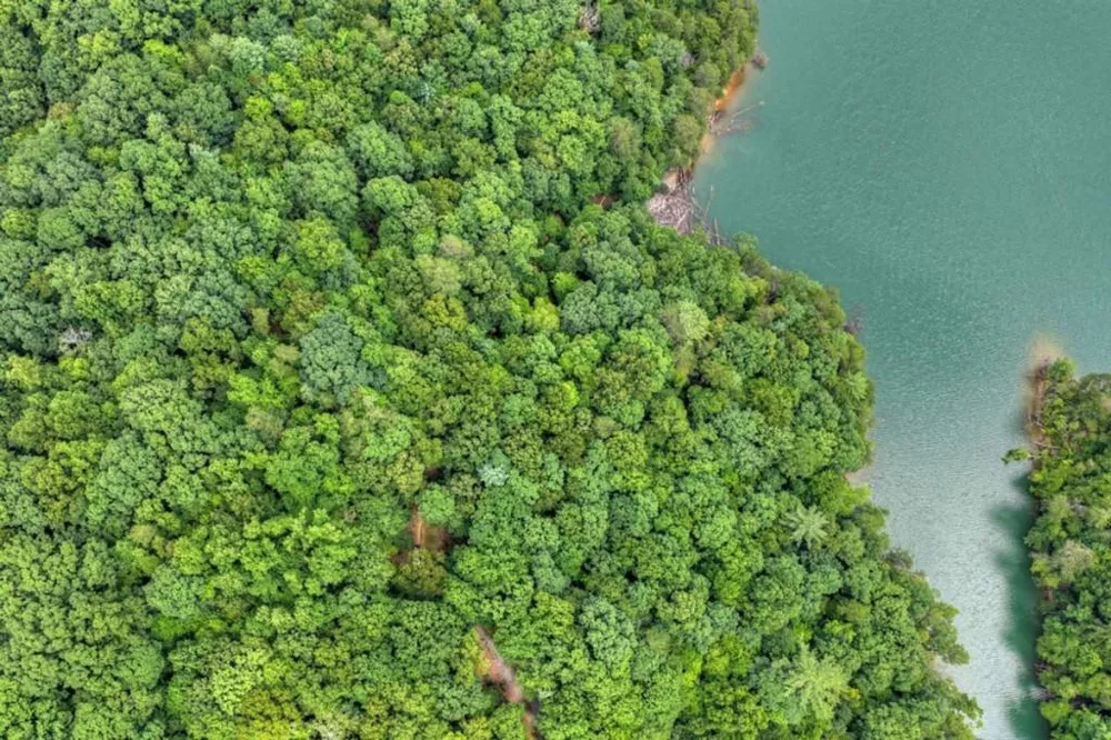 LT 60 Necowa Cove Overlook Blue Ridge, GA 30513