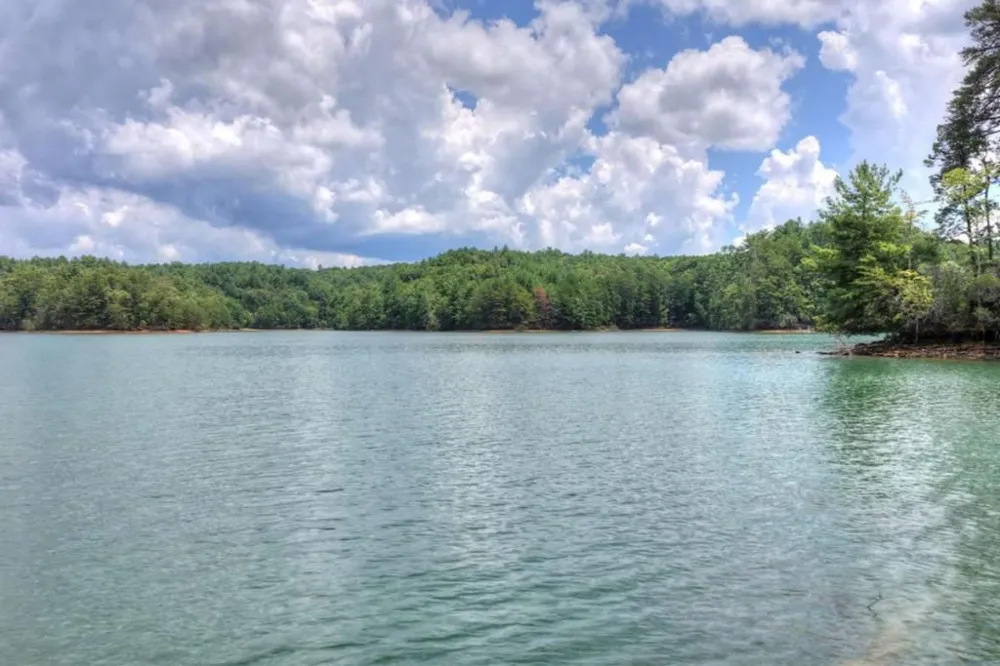LT 60 Necowa Cove Overlook Blue Ridge, GA 30513