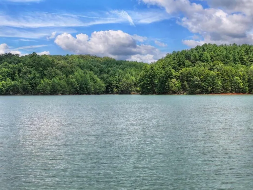 LT 60 Necowa Cove Overlook Blue Ridge, GA 30513