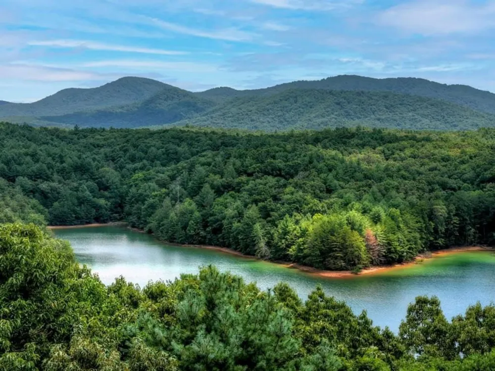 LT 60 Necowa Cove Overlook Blue Ridge, GA 30513