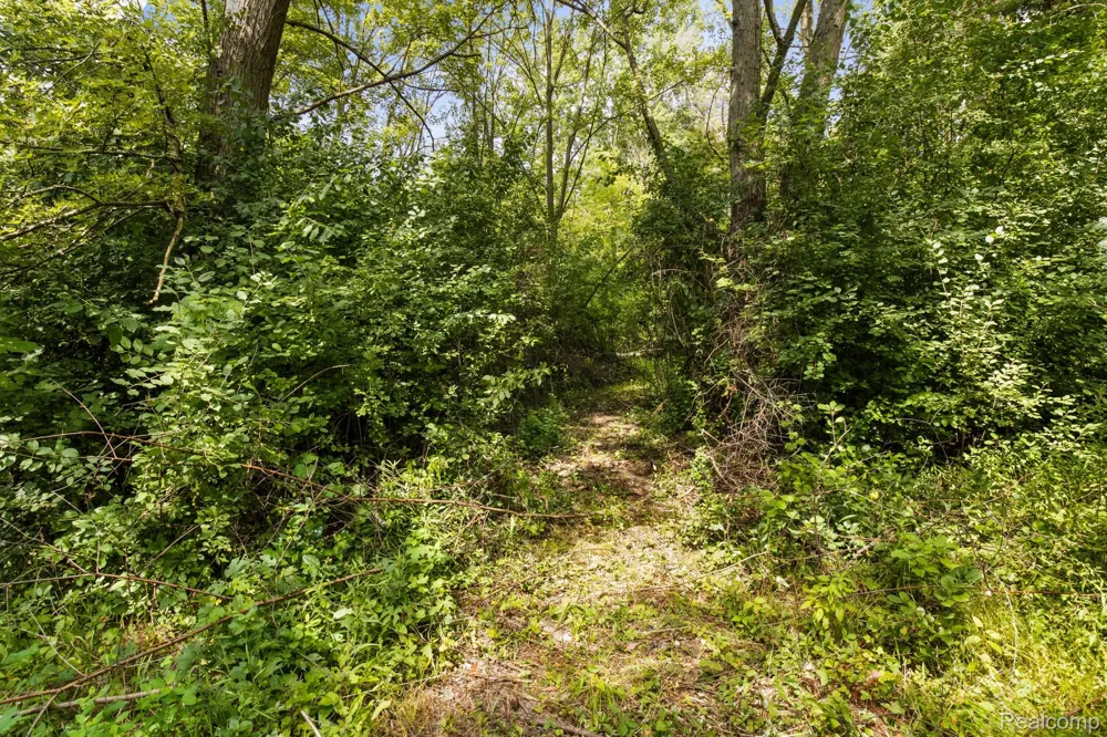 7330 Embury Road Grand Blanc Charter Township, MI 48439