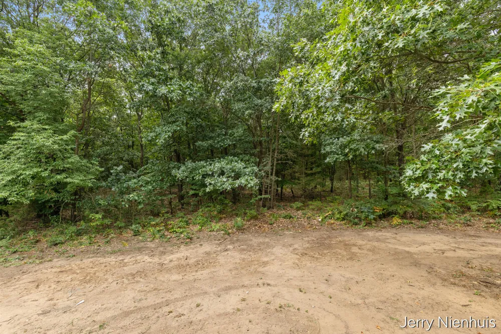 5846 113th Avenue Clyde Township, MI 49450