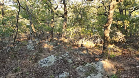 411 Mountain View Court