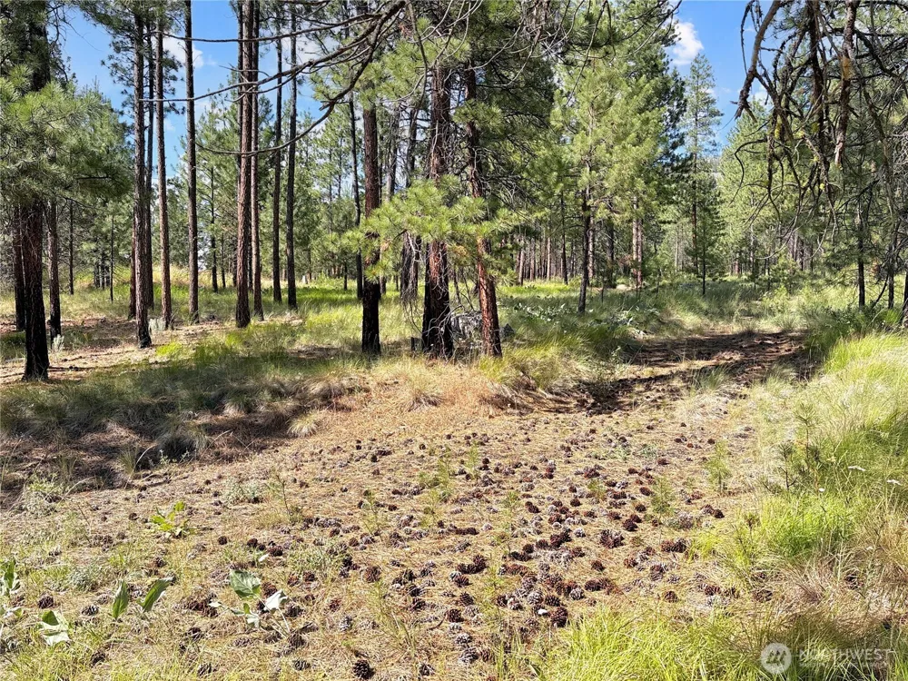 2 Tanner Short Plat Riverside, WA 98849