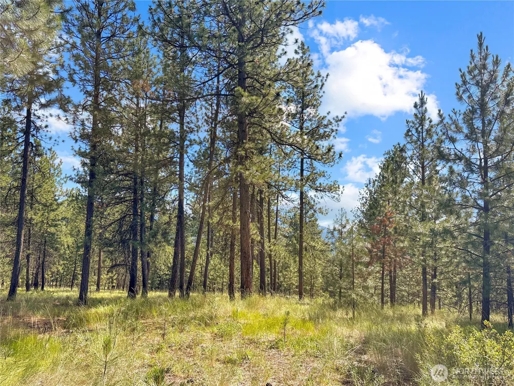 2 Tanner Short Plat Riverside, WA 98849