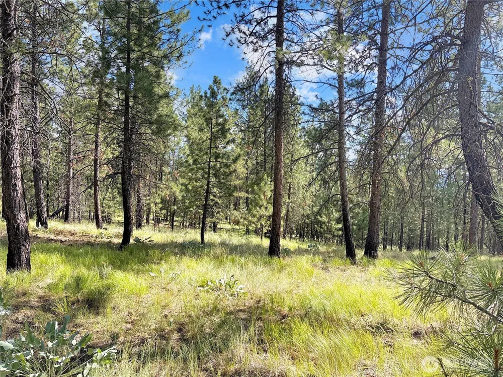 2 Tanner Short Plat Riverside, WA 98849