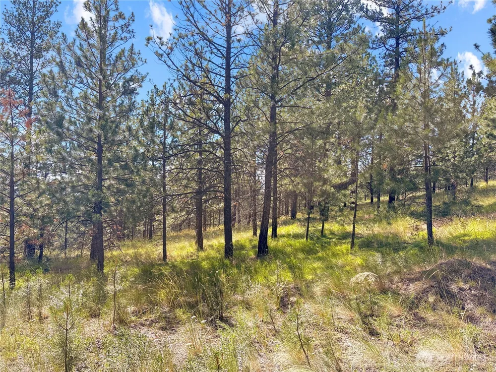 2 Tanner Short Plat Riverside, WA 98849