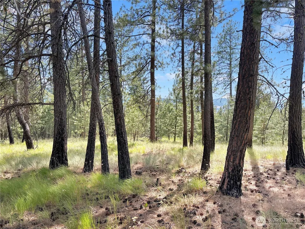 2 Tanner Short Plat Riverside, WA 98849