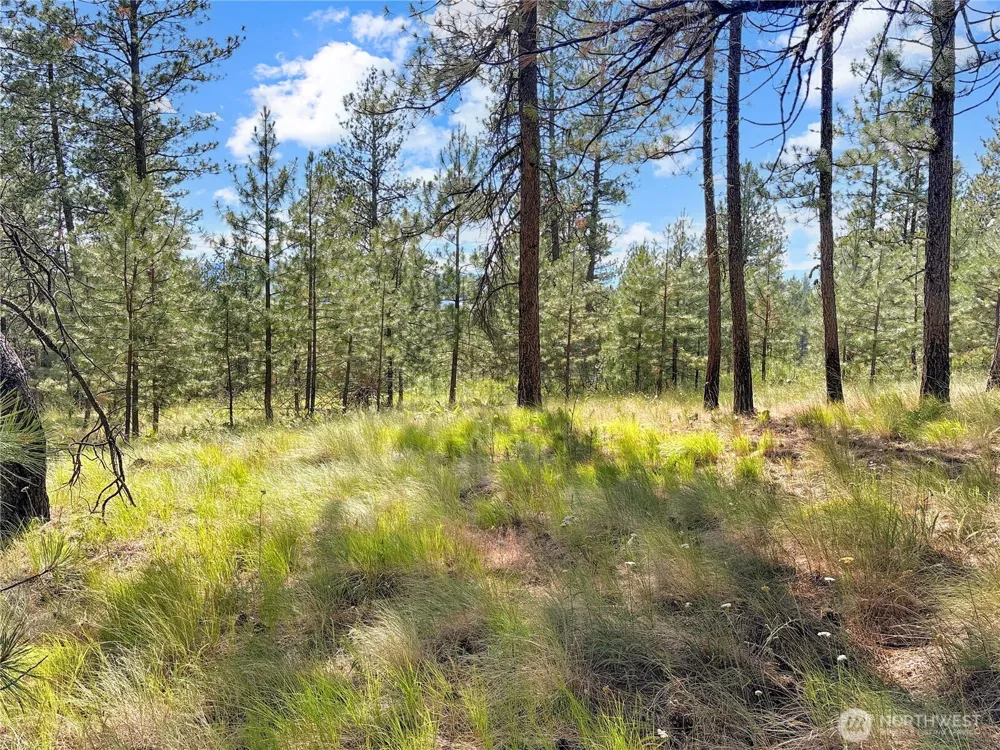 2 Tanner Short Plat Riverside, WA 98849