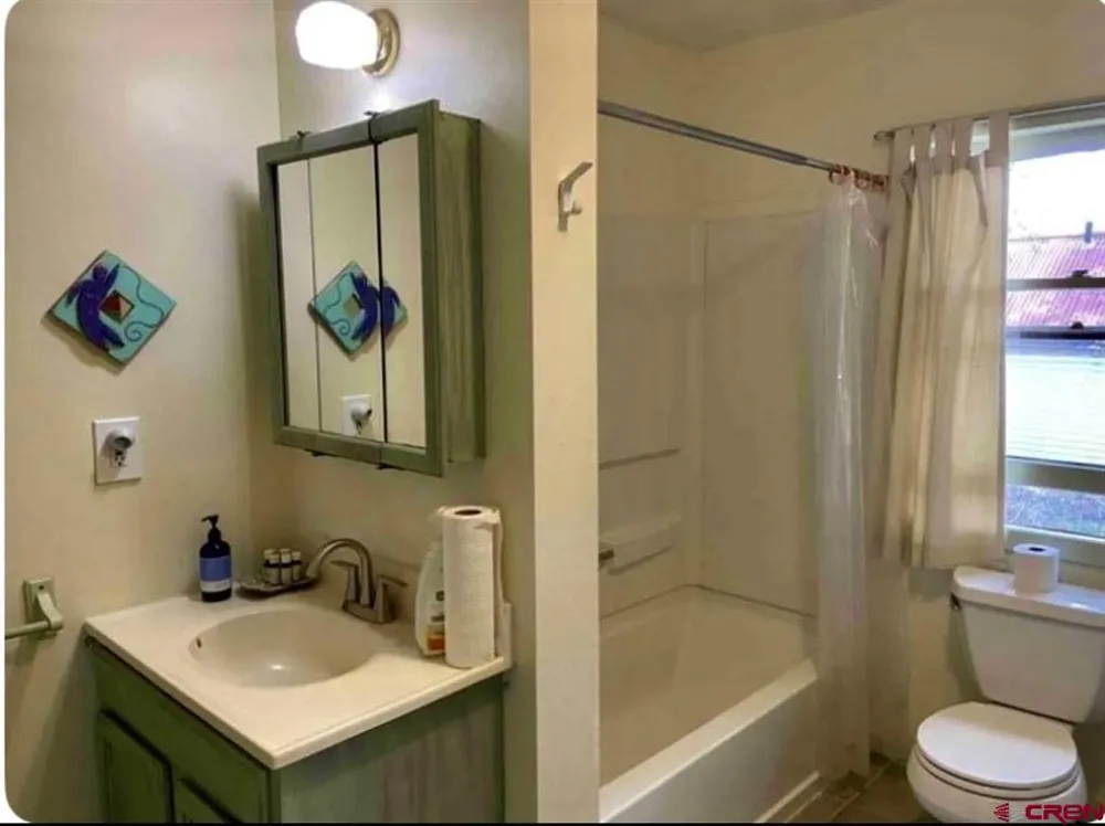 1113 2nd Street Paonia, CO 81428