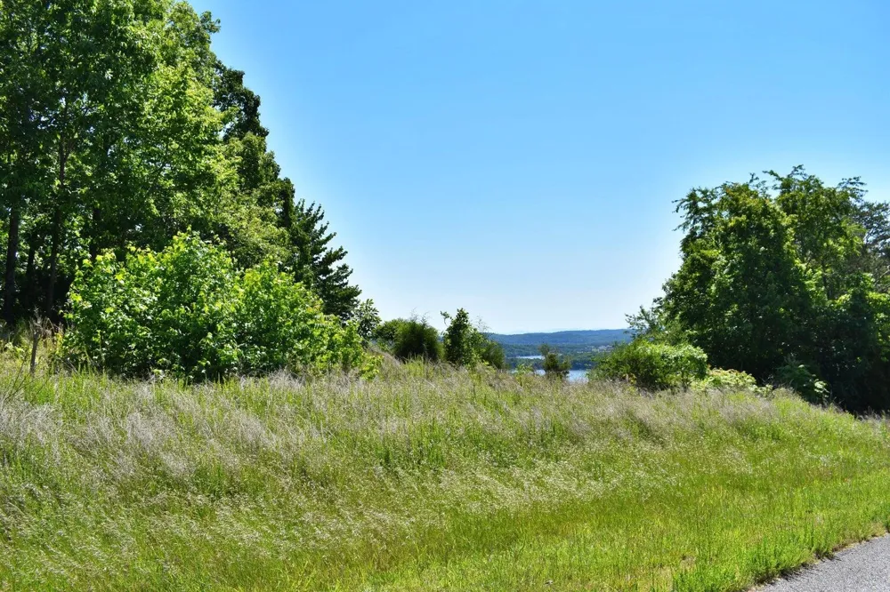 Flint Ridge Road Rockwood, TN 37854