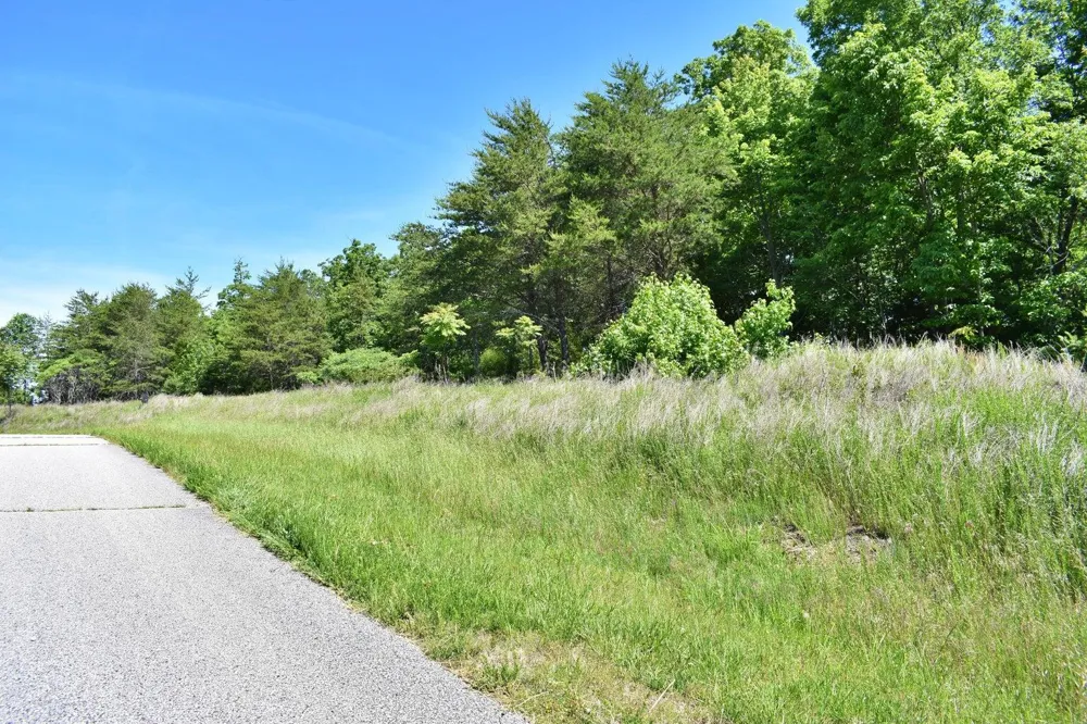 Flint Ridge Road Rockwood, TN 37854