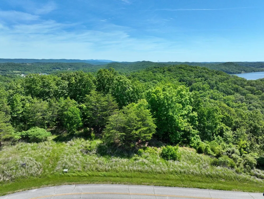 Flint Ridge Road Rockwood, TN 37854