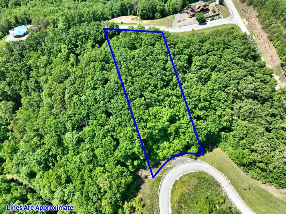 Flint Ridge Road Rockwood, TN 37854
