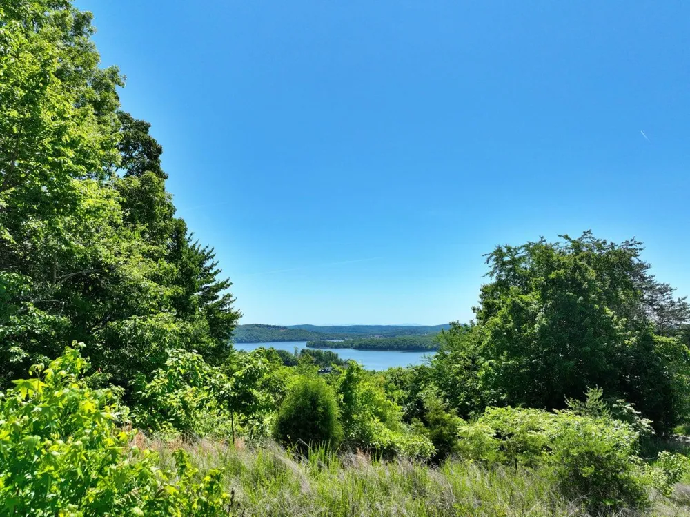 Flint Ridge Road Rockwood, TN 37854