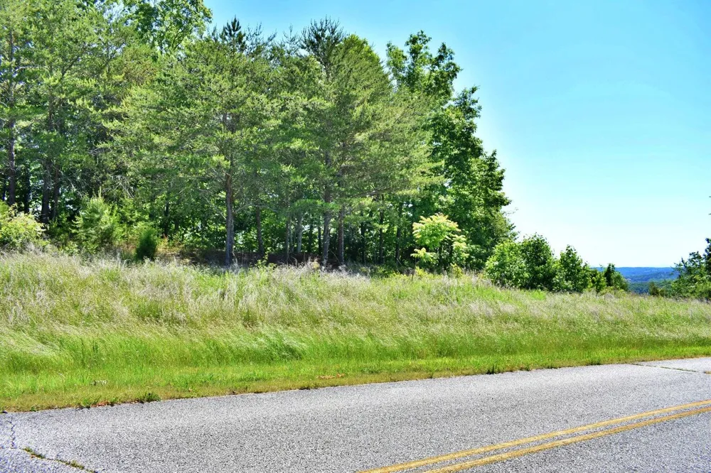 Flint Ridge Road Rockwood, TN 37854